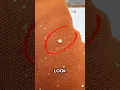 Most rare snowflakes