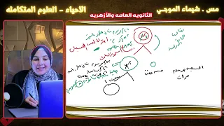 طلاب الازهر حل كتاب اكتشف المراجعه النهائيه 2025 التكاثر فى الانسان  طلاب الازهر حل كتاب اكتشف المراجعه النهائيه 2025 التكاثر فى الانسان
