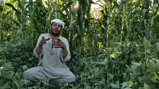 أبو شبيب يتحدث عن الفرق الريف وطفل المدينة 