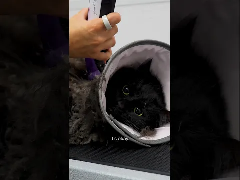 The Void is Displeased