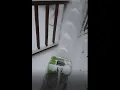 CORDLESS Electric Snow Shovel GREENWORKS