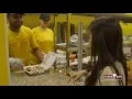 Gyro King - Sugar Land Tx