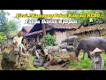 Download Lagu 🔴Bebas..!!Viral Kampung Bebas Kumpul KEBO Tanpa Ikatan Nikah Lagi Viral Di Jawa Tengah Di Pedesaan🇮🇩