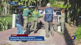 Operação resgata animais silvestres e exóticos de cativeiro