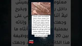 معلومه هذا الكائن يعيش داخل رموش عينيك 