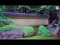 Kyoto in the Rain 🇯🇵 Most Beautiful Zen Garden, Bamboo Forest & Peaceful Scenery (4K)