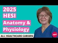 HESI A2 Anatomy and Physiology Practice Test 2025 20 Questions with Explained Answers