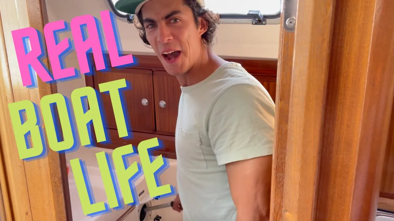 SAILED to Sydney, saw a SHARK, got hit by a STORM + got into real BOAT LIFE | Week 5 Aboard Phoenix