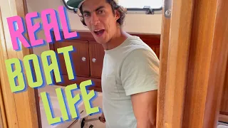 SAILED to Sydney, saw a SHARK, got hit by a STORM + got into real BOAT LIFE | Week 5 Aboard Phoenix