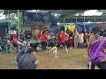 Download Lagu Janturan semarangan ebeg krida kencana sakti 🔴LIVE Kembaran