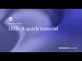 Synthetic Users IRIS Walkthrough