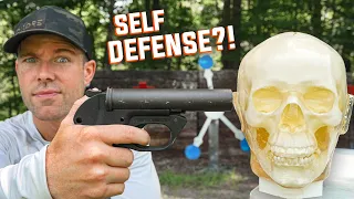 This FLARE Gun is Also a LETHAL Self Defense Weapon HK P2A1