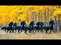 Download Lagu Осень - Красивая музыка для души! Романтическая расслабляющая музыка! Music by Sergey Grischuk.