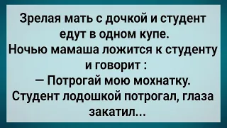 Как Зрелая Мамаша Ночью к Студенту Легла Сборник Свежих Анекдотов Юмор 