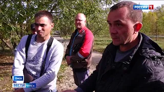 Жители Омска засомневались в качестве стройматериалов, из которых выкладывают пешеходные дорожки в сквере Молодожёнов