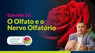 O OLFATO E O NERVO OLFATÓRIO | EP. 20