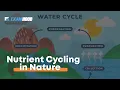 NUTRIENT CYCLING IN NATURE