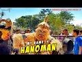 HANOMAN ❗❗ ANOMAN OBONG | SINAR SALUYU JAYA MUDA ARAK ARAKAN DI JALAN LEMBUR KURING