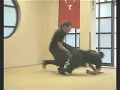 Bujinkan ninjutsu Turkey Randori
