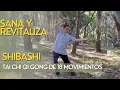 Lagu Tai Chi Qi Gong de 18 Movimientos - Shr Ba Shr (SHIBASHI) - FACIL Y EFECTIVO