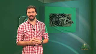 JANELA DA BÍBLIA | A SERPENTE NA BÍBLIA: ENTRE A CURA E A MALDIÇÃO [CC]