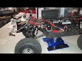 desert lizard shocks tip or trick