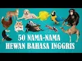 Download Lagu 50 Nama-Nama Hewan atau Binatang Dalam Bahasa Inggris | Animals In English