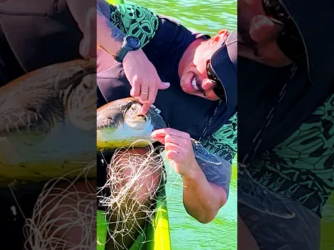 This turtle chose the right people to ask for help ❤️ #shorts #rescue #turtle