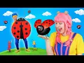 Download Lagu Hey, Lucky Ladybug | D Billions Kids Songs