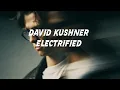 David Kushner - Electrified Lyric Video