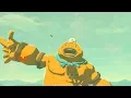 Zelda BOTW Mount Derp Drillshaft