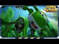 Lagu Superwings | Best | Ik moet het vinden! | Verzameling van de beste afleveringen