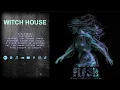 FLESH Phenomenon full album