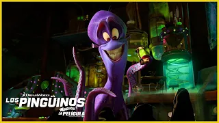 ¡Aquí está Dave! 🐙 | DreamWorks Madagascar en Español Latino