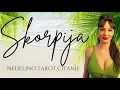 Download Lagu SKORPION Ko se to uplasio?!🤔⁉️🤣🙃🥂 1.9.-7.9. Nedeljno tarot citanje 