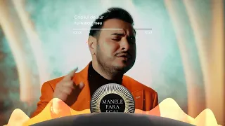 Copilul de Aur - Tu in locul meu - Descarcă MP3