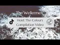 Download Lagu The Wellermen- Hoist The Colours Compilation 2