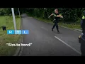 Ewout Genemans en agenten slaan op de vlucht voor agressieve rottweiler | Bureau Maastricht