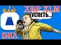Download Lagu НАЦИОНАЛЬНЫЙ БАНК RIPPLE В НОЯБРЕ 2025? ЛИСТИНГ SHX НА БИРЖЕ LCX! RIPPLE и Gemini! STELLAR и Paxos!
