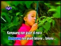 Download Lagu Kampuang Jauah Di Mato   Cikitha Meidy