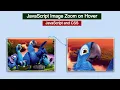 Image Zoom JavaScript JavaScript Image Zoom on Hover JavaScript Product Image Zoom