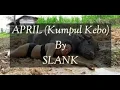 Download Lagu APRIL - SLANK