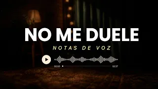 No me duele - Notas de voz