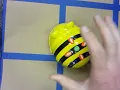 Rules for Using Bee-Bots