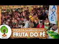 Download Lagu Roda de Samba de Raíz Fruta do Pé - 8 anos (Ao vivo)