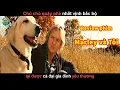 Download Lagu Chú Chó Quậy nhất Vịnh Bắc Bộ và Cái Kết - review phim Marley và Tôi