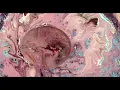 Foam and Sand - Circle 27 (with Delhia de France)