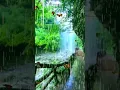 Download Lagu Amazing sound rain Relaxing Piano Music: Romantic Music, Beautiful Relaxing Music,Sleep Music, Stres