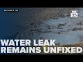 Some Bethany residents frustrated as water leak remains unfixed since November 2024