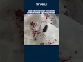 Download Lagu Gaza neurosurgeon shares evidence of Israeli attacks on Palestinian children
